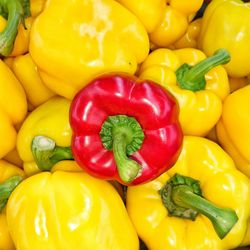 High angle view of bell peppers