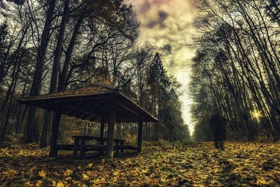 Gazebo by trees against sky during sunset