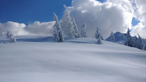 Snow covered landscape against sky