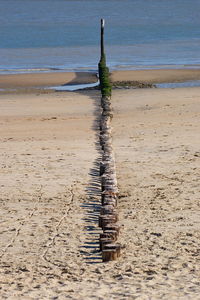 Wooden posts on beach