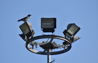 Low angle view of seagull perching on cable against sky