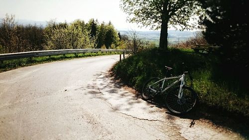 Road amidst trees against sky