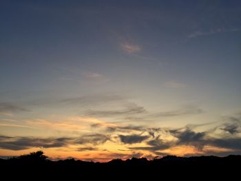 Low angle view of silhouette trees against sky during sunset