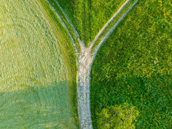 High angle view of agricultural field