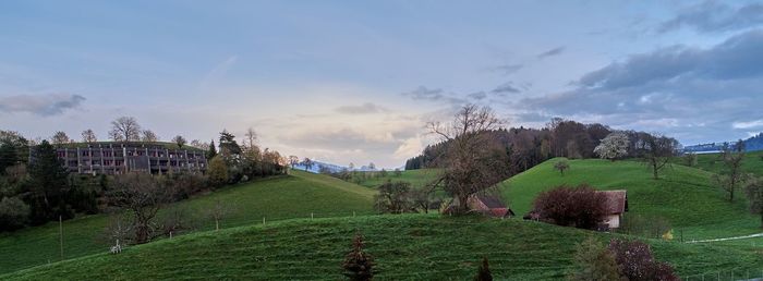 Panoramic shot of trees on field against sky