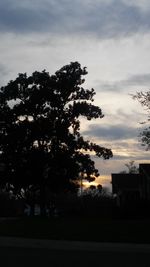 Silhouette of trees against sky at sunset