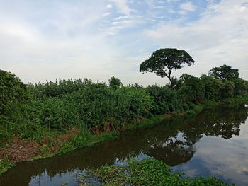 Scenic view of lake against sky