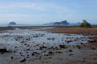 Scenic view of shore against sky