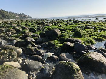 Rocks in sea against clear sky