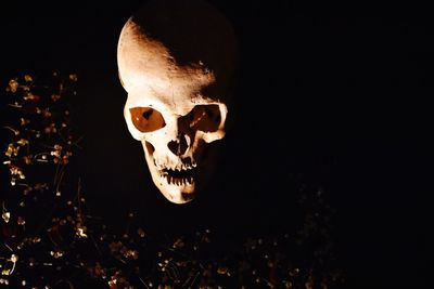 Close-up of human hand against black background