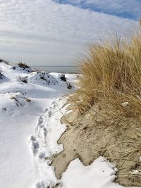 Snow covered land on beach