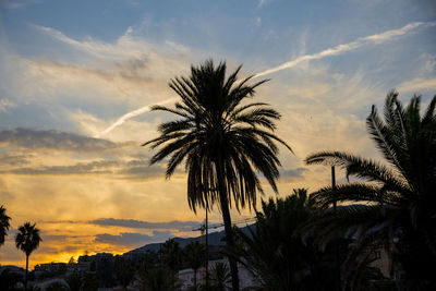 Silhouette palm trees against sky during sunset