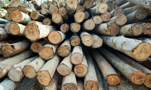 Background and texture of timber and firewood