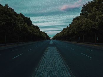 Empty road along trees and plants in city