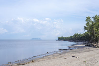 Scenic view of beach against sky