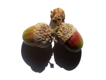 Close-up of fruits against white background