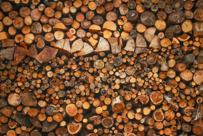 Full frame shot of logs in forest