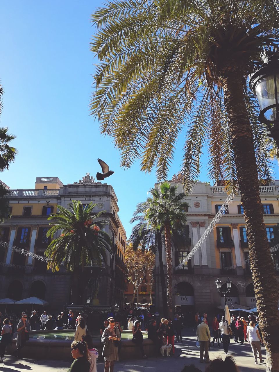 LOW ANGLE VIEW OF PEOPLE WALKING ON PALM TREE