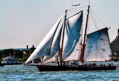 Sailboats moored at harbor