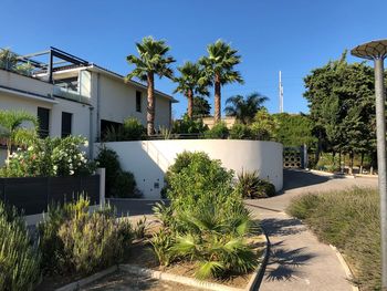 Plants and trees by building against blue sky