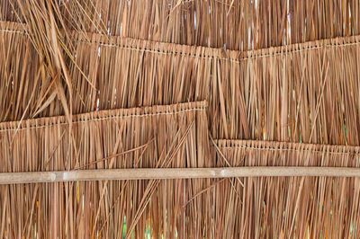 Full frame shot of bamboo plants