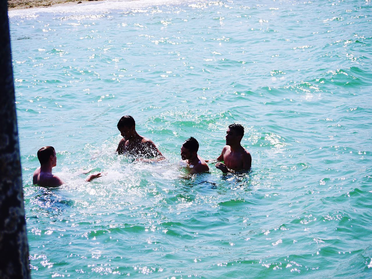 SILHOUETTE PEOPLE SWIMMING IN POOL