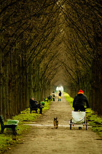 People on pathway amidst bare trees at park