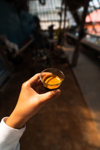 Midsection of person holding ice cream
