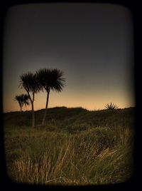 Scenic view of grassy field against sky