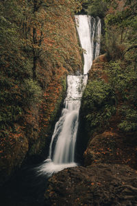 Bridal Veil