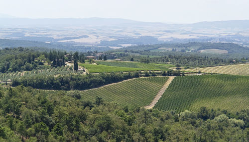 High angle view of agricultural field against sky