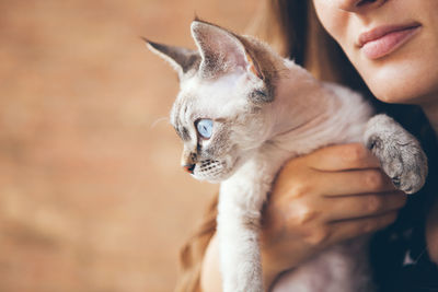 Midsection of woman holding cat