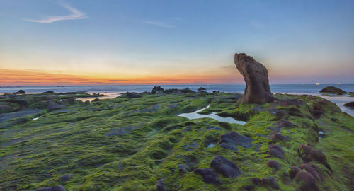 Close-up of rocks on beach against sky during sunset