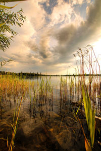 Scenic view of lake against sky during sunset