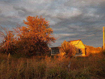 Trees and houses on field against sky during autumn