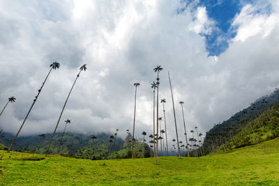 Low angle view of green landscape against sky