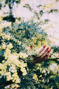 Midsection of woman by flowering plants