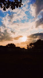 Silhouette trees on field against sky during sunset
