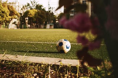 Soccer ball on grassy area