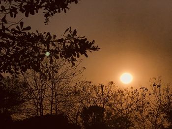 Low angle view of silhouette trees against sky during sunset