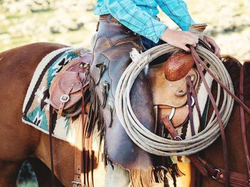 Close-up of a horse