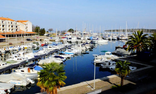 Boats moored at harbor