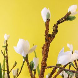 Close-up of white flowers