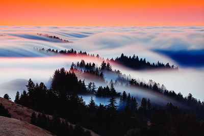 Panoramic view of fog and trees on landscape against sky during sunset