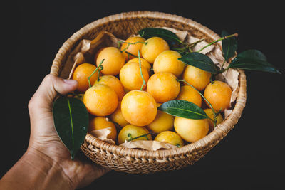 Cropped hand holding fruits in basket over black background