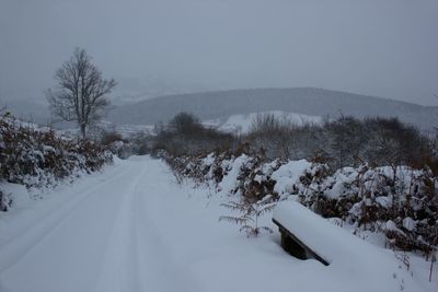 Snow covered road amidst trees against clear sky
