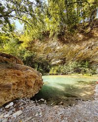 Stream flowing through rocks in forest