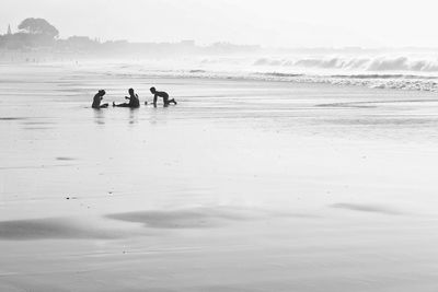 People at beach