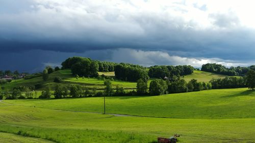 Scenic view of agricultural field against sky