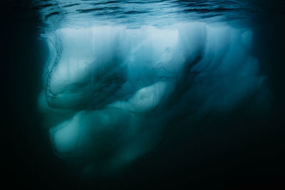 Woman swimming in sea